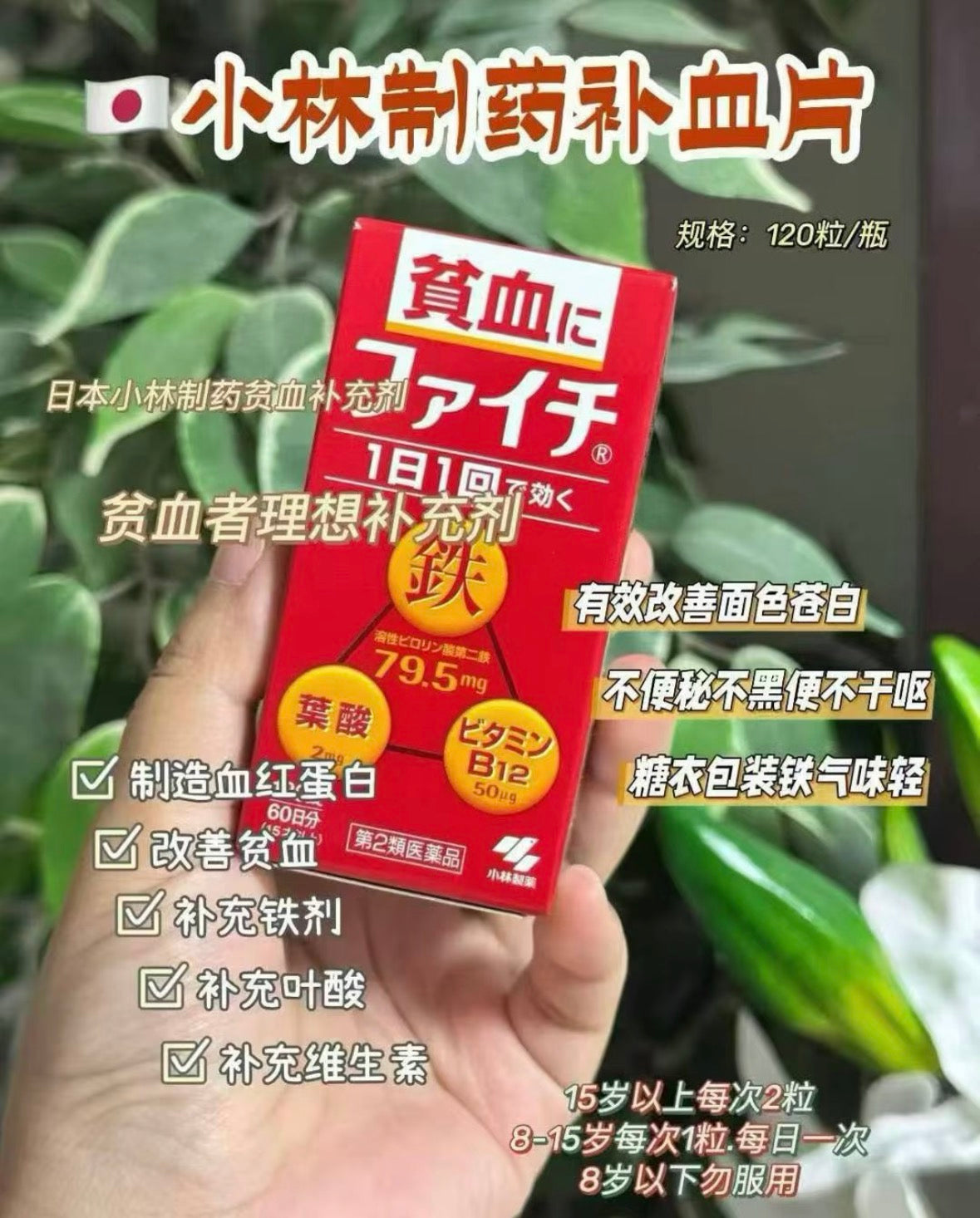 日本 小林 贫血 补铁丸