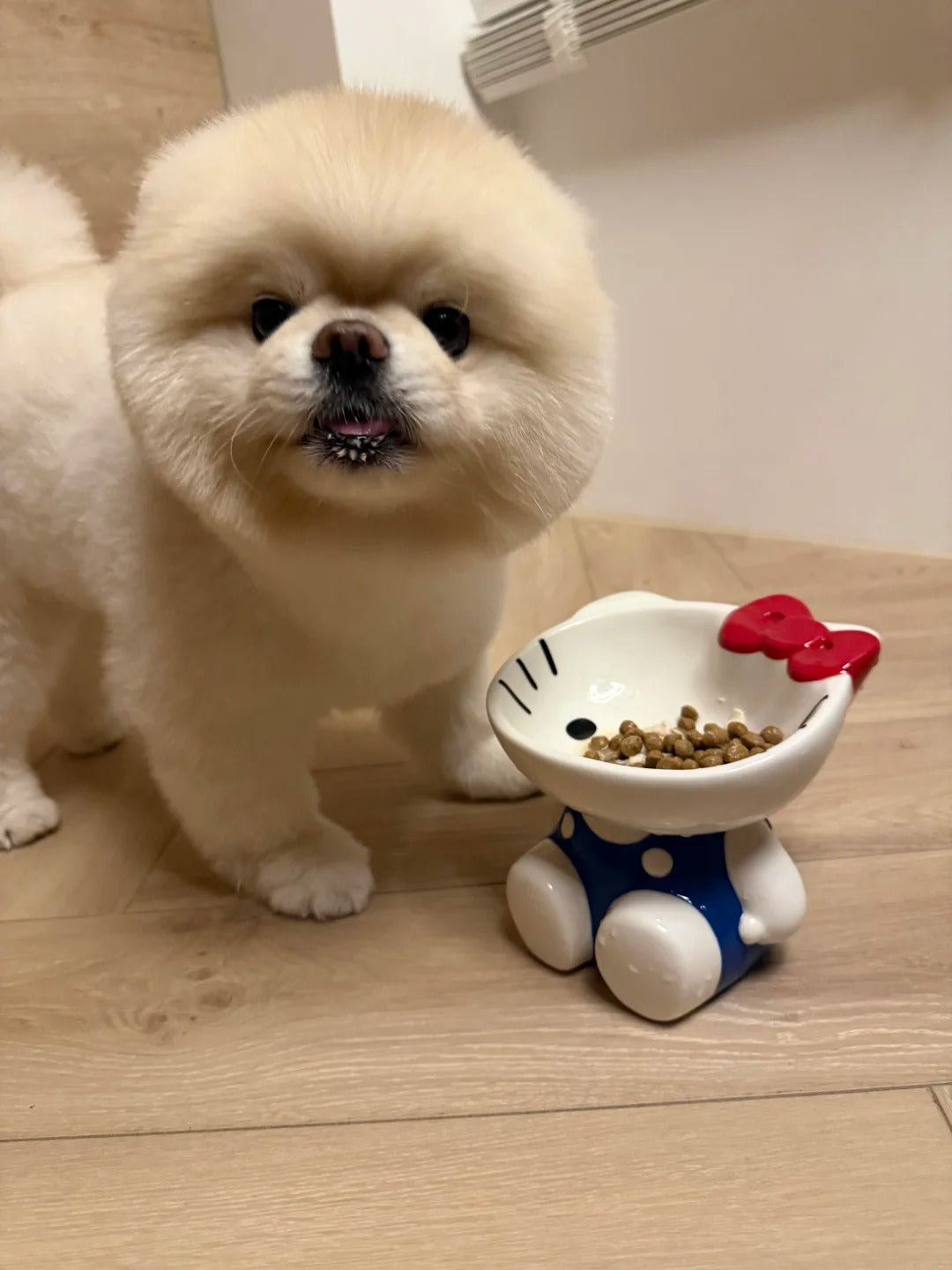 日本 凯蒂猫 宠物碗